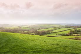 Mariano Grovas Mendez